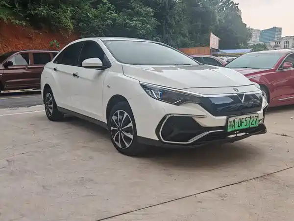 Venucia D60 EV 2020