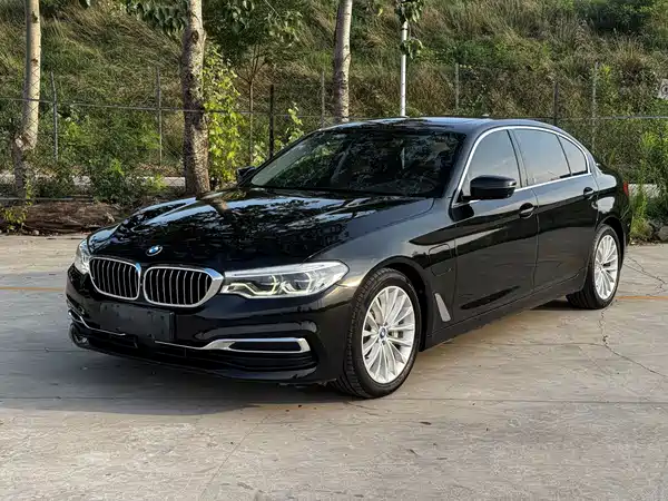 BMW 5 Series New Energy 2019