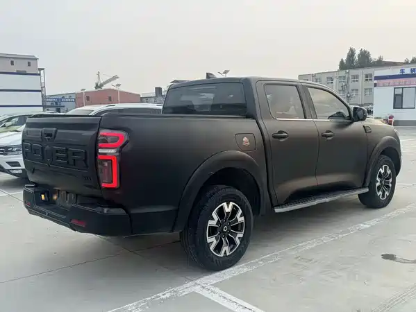 Great Wall Poer 2019