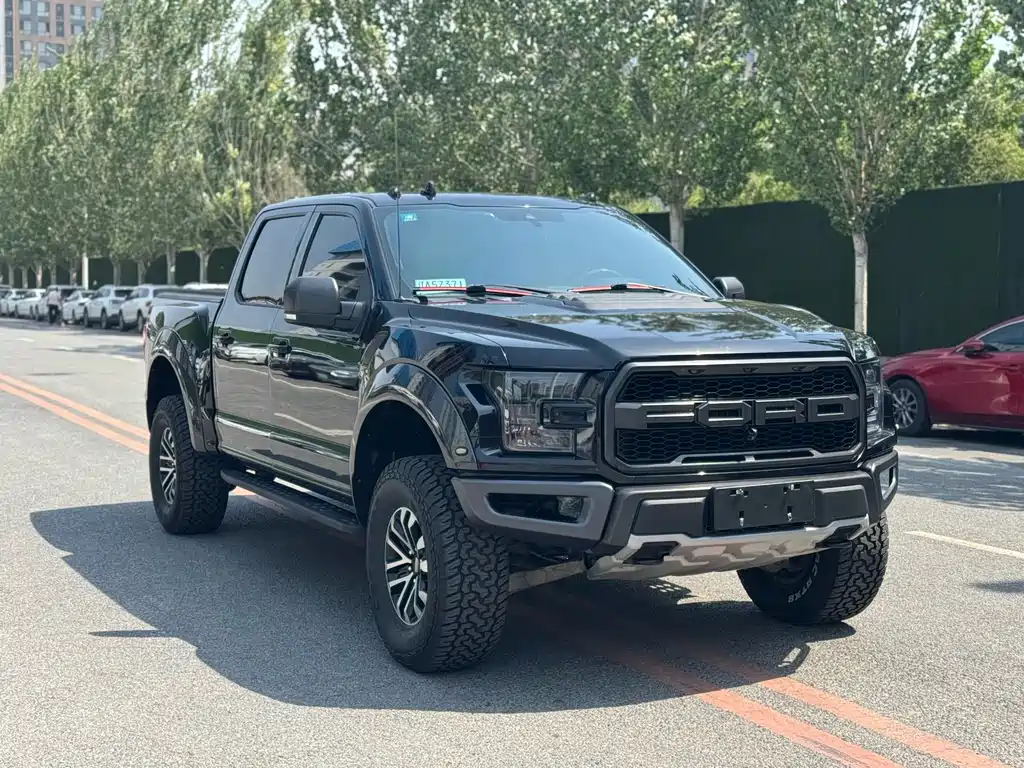 Ford F-150 Raptor 2019 — фото 3