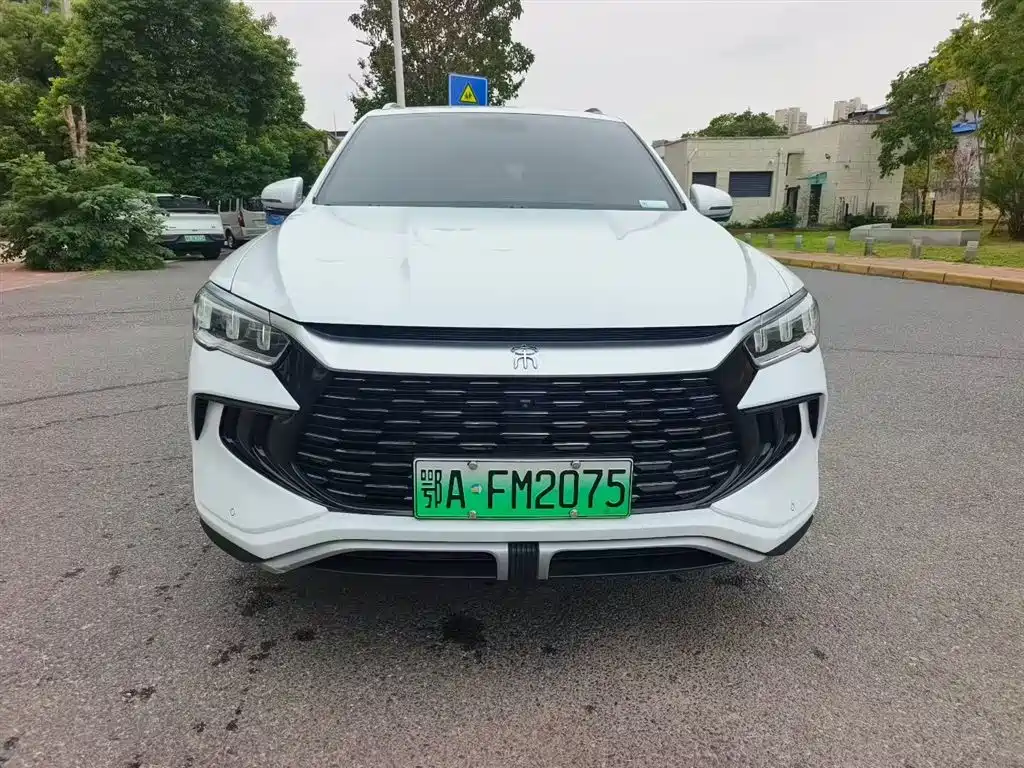 BYD Pro New Energy 2023 — фото 2