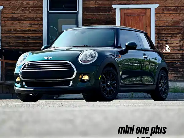 MINI MINI 2018