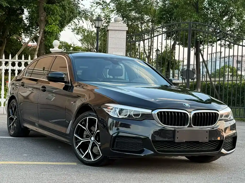 BMW 5 Series 2019 — фото 2