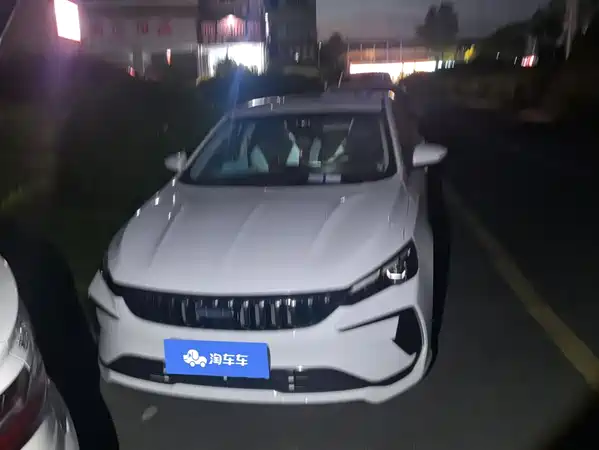 Geely Binrui 2023