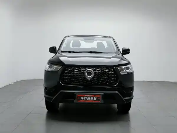 Great Wall Poer 2022