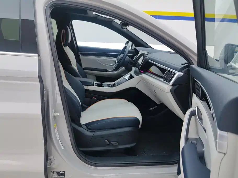 BYD Song PLUS New Energy 2023 — фото 8