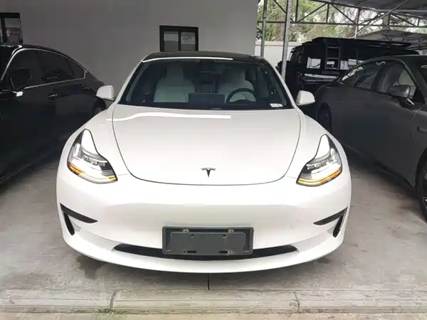Tesla Model 3 2020