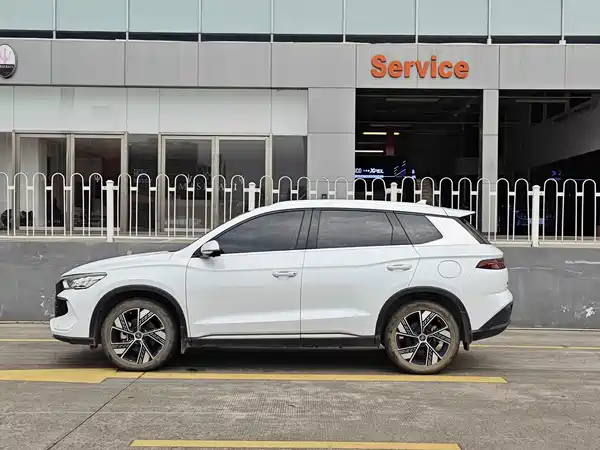 BYD Song Pro New Energy 2024