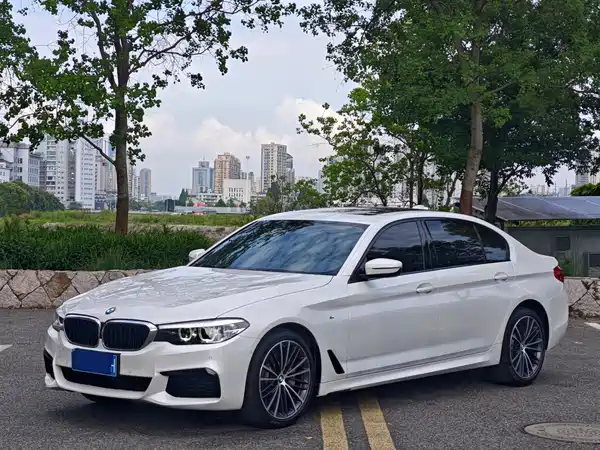 BMW 5 Series 2019