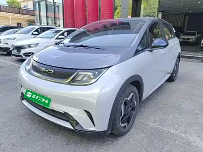 BYD Dolphin 2022
