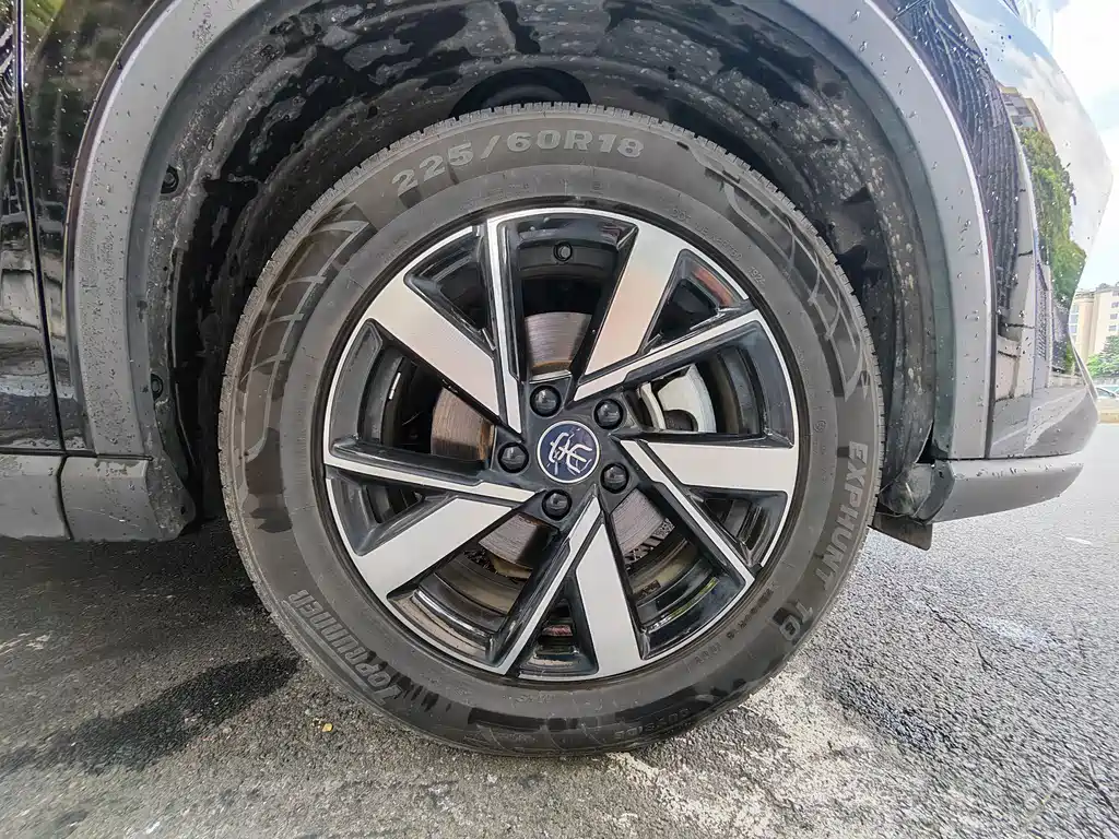 BYD Pro New Energy 2024