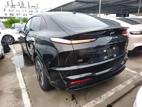 Onvo L60 2024