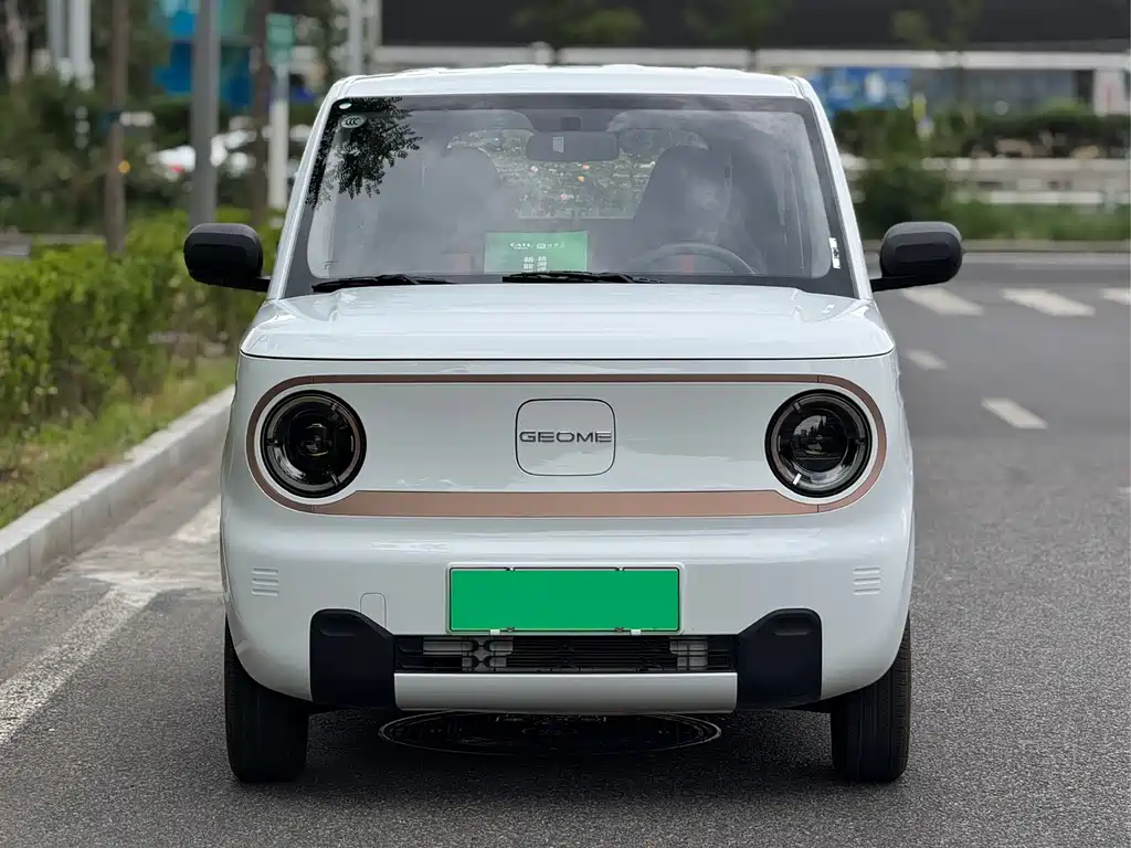 Galaxy Panda 2023