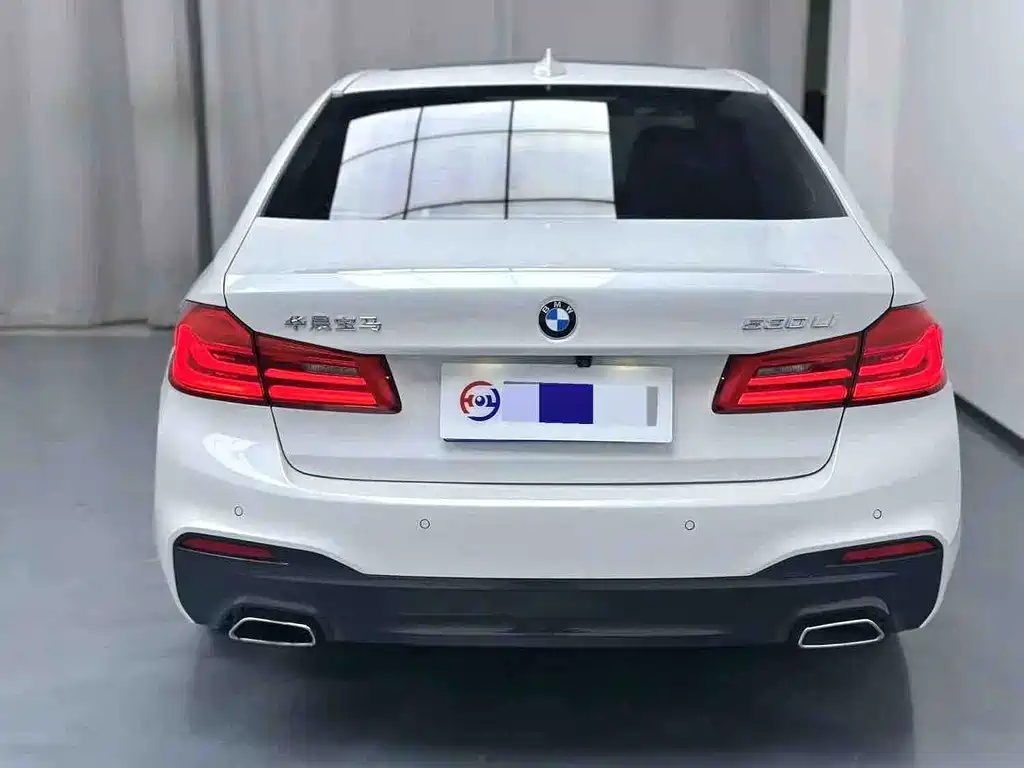 BMW 5 Series 2019 — фото 4