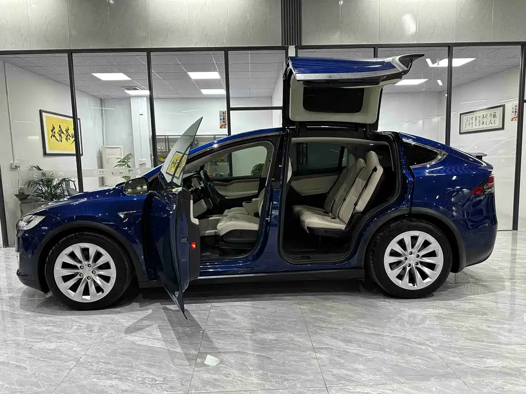 Tesla Model X 2019 — фото 8