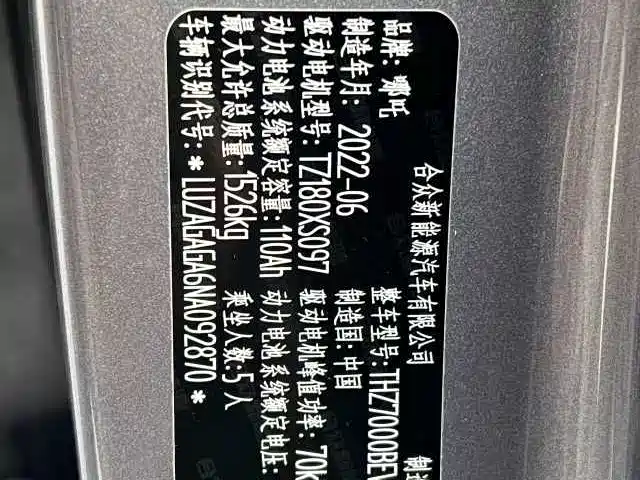 Neta V 2022