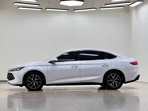 BYD Qin L 2024