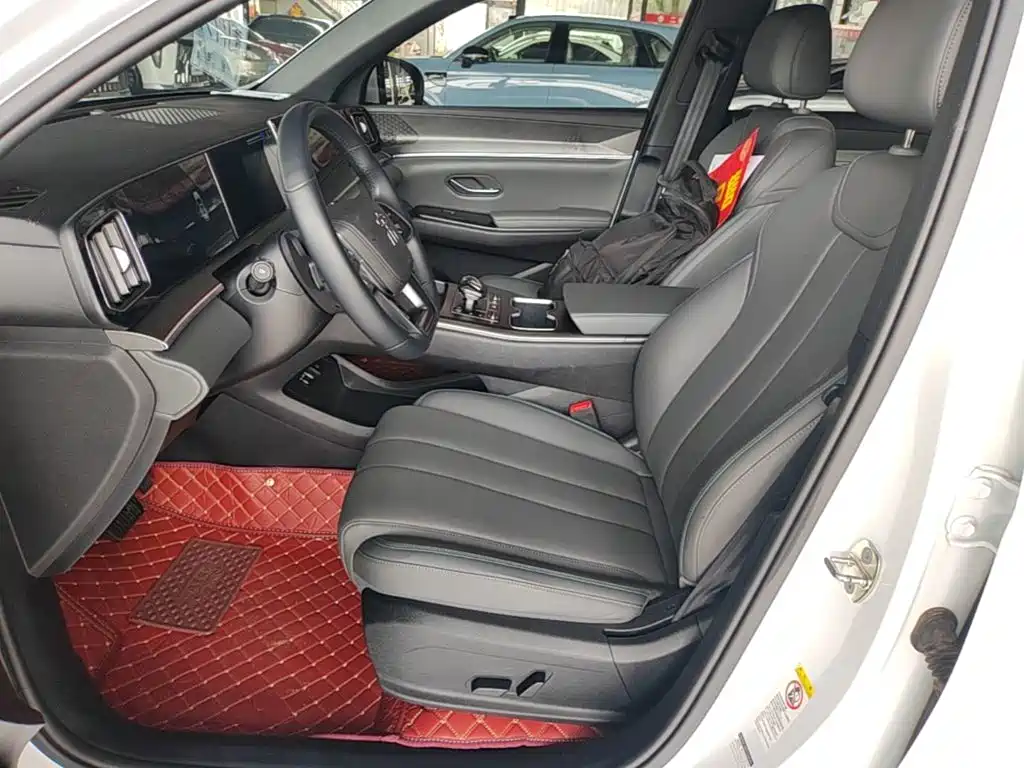 BYD Song Pro New Energy 2025 — фото 15