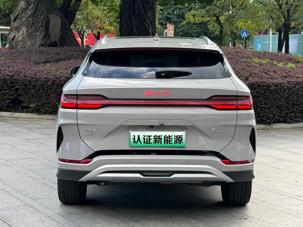 BYD Song PLUS New Energy 2024 — фото 17