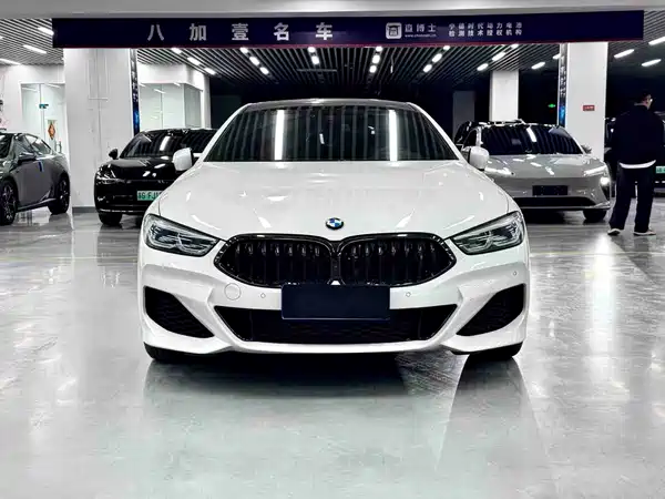 BMW 8 Series 2021