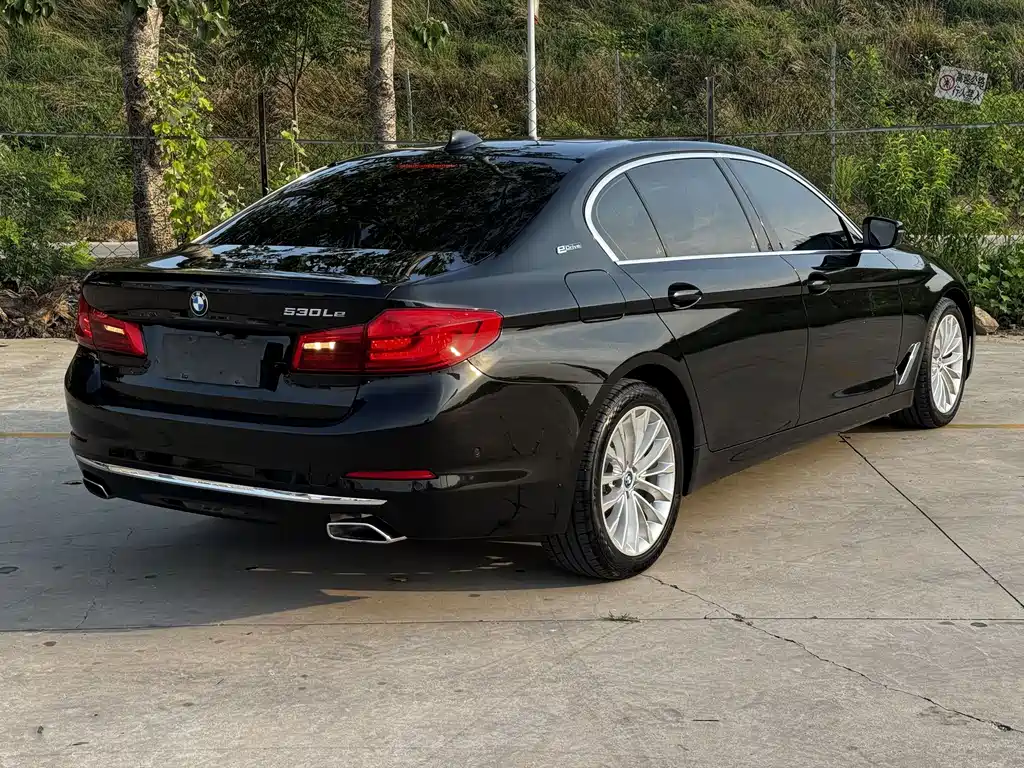BMW 5 Series New Energy 2019
