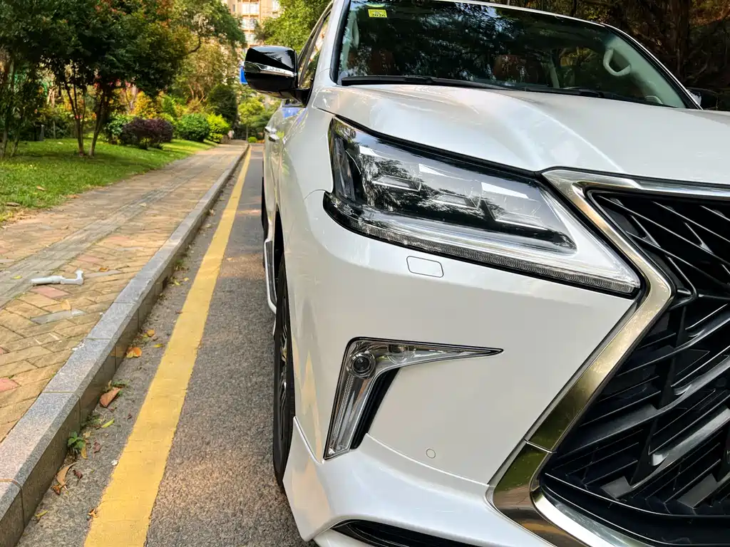 Lexus LX 2018 — фото 17