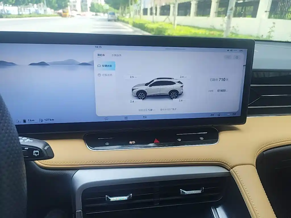 Roewe RX5 New Energy 2024 — фото 13