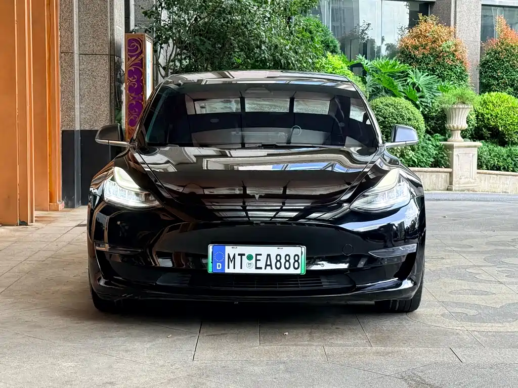 Tesla Model 3 2019 — фото 2