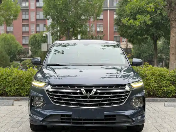 Wuling Victory 2021