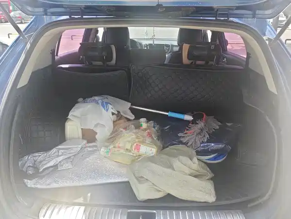 Kia KX5 2018