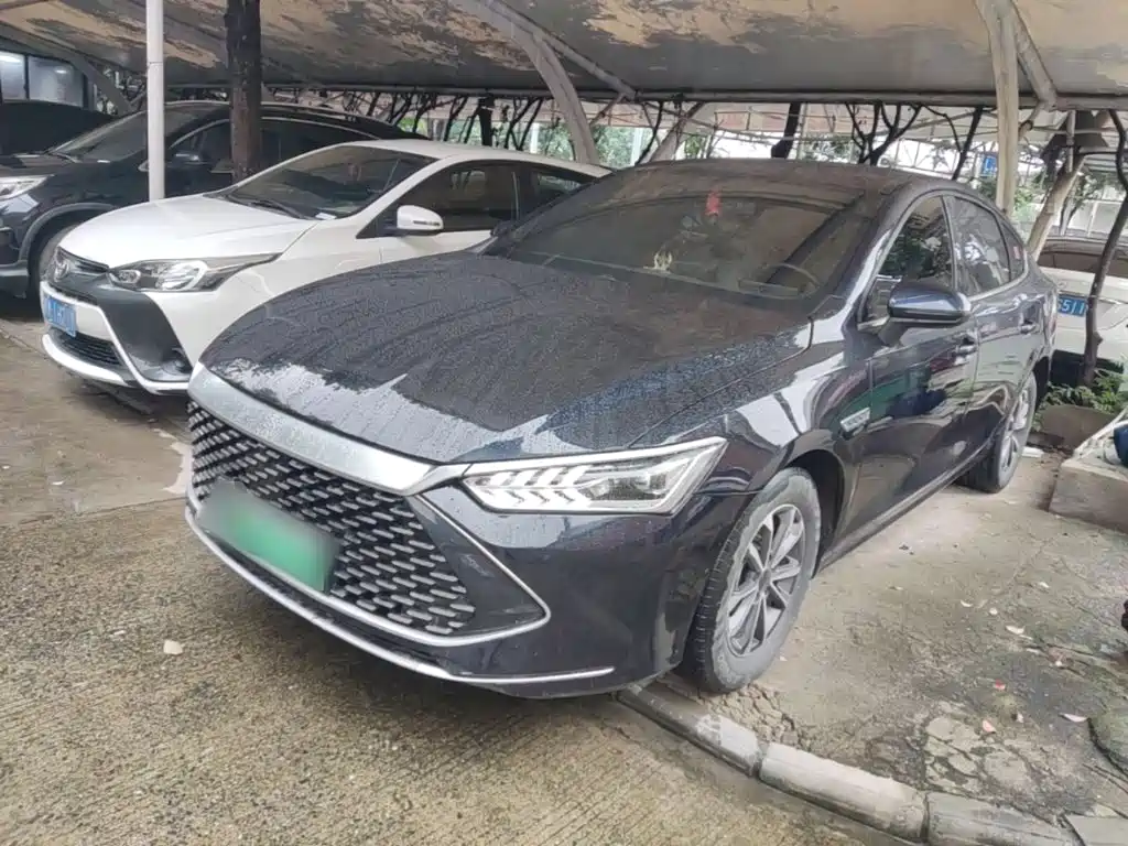 BYD Qin PLUS 2024 — фото 2