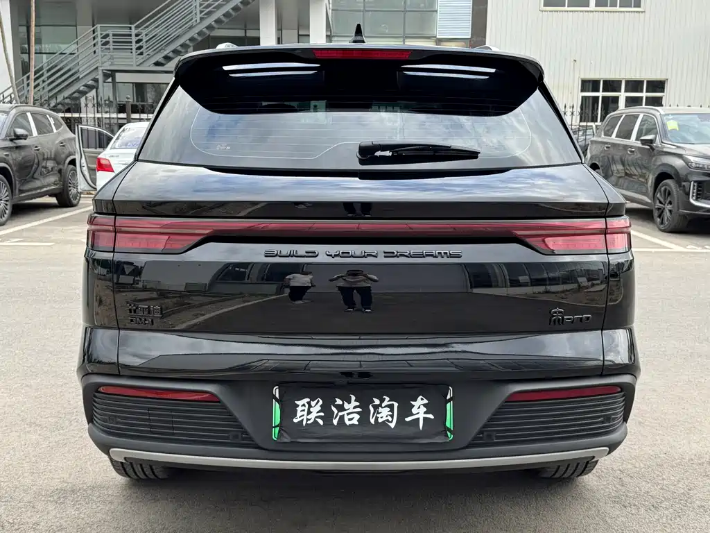 BYD Pro New Energy 2024 — фото 8