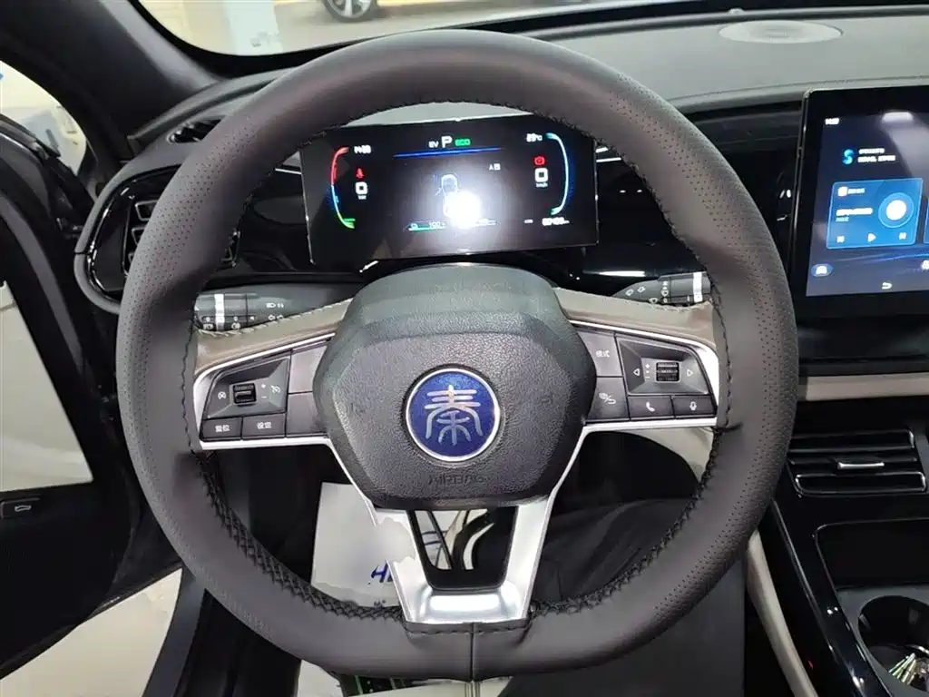 BYD Qin PLUS 2024 — фото 11