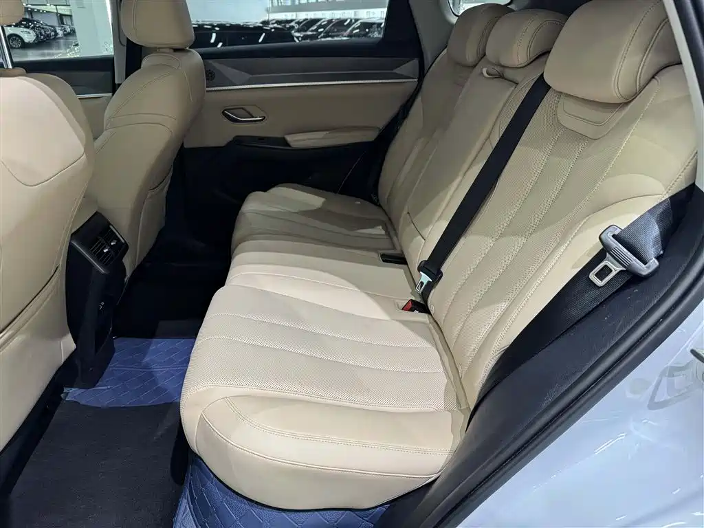 BYD Song Pro New Energy 2025 — фото 20