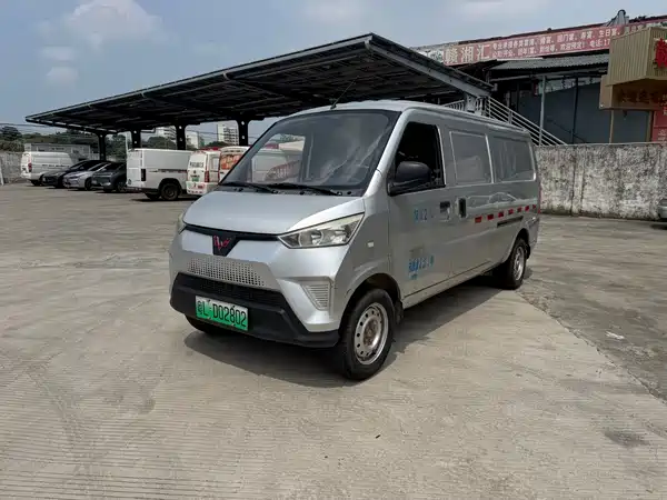 Wuling EV50 2021