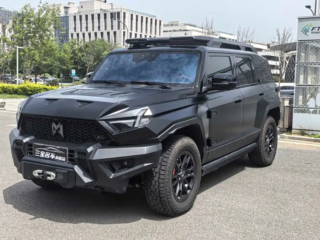 Mengshi 917 2025