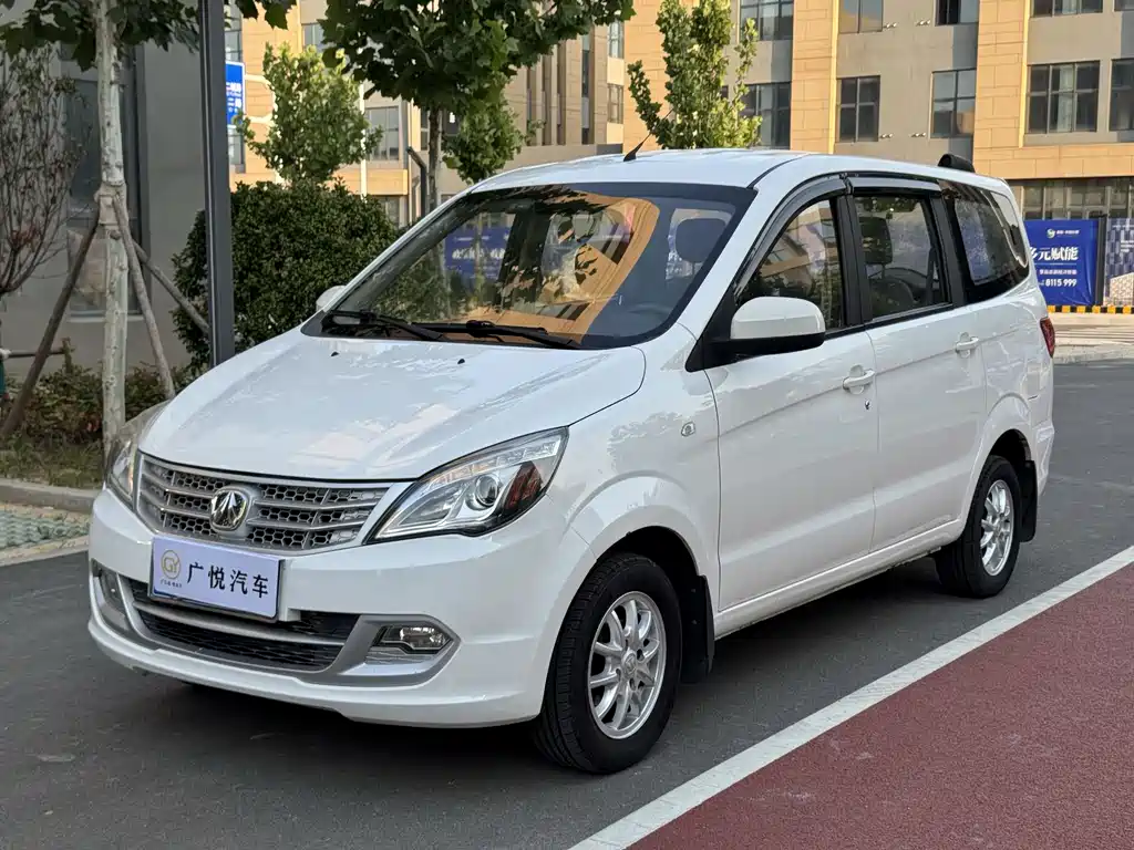 BAW Weiwang M20 2017