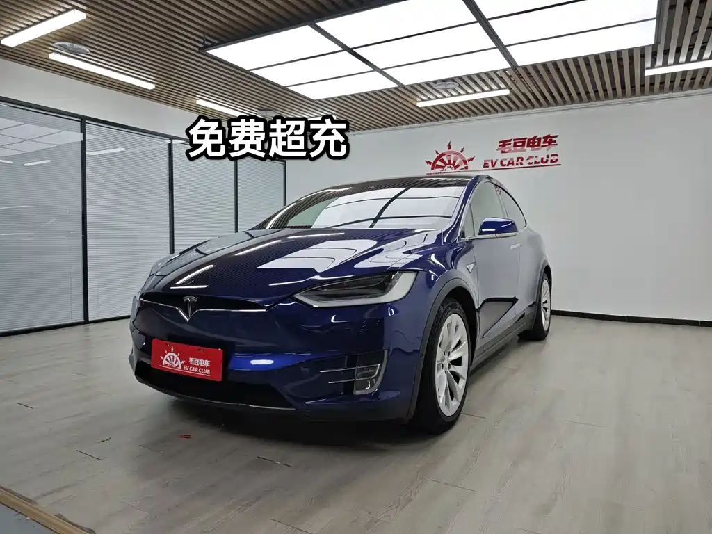 Tesla Model X 2017 — фото 1