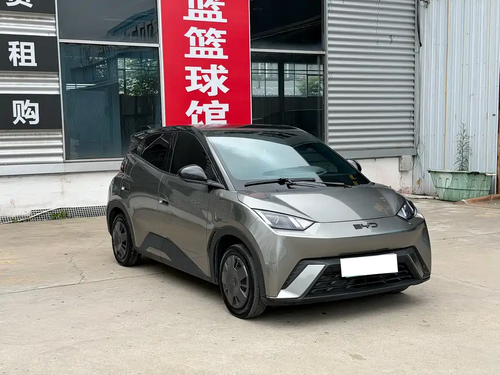 BYD Seagull 2024