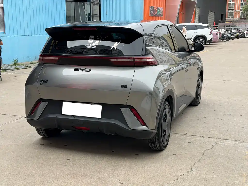 BYD Seagull 2024