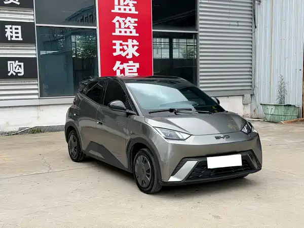 BYD Seagull 2024