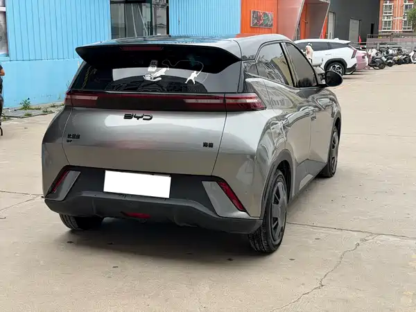 BYD Seagull 2024