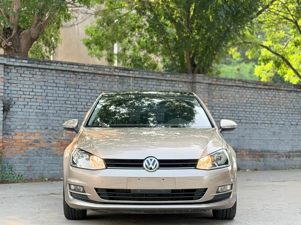 Volkswagen Golf 2015 — фото 2