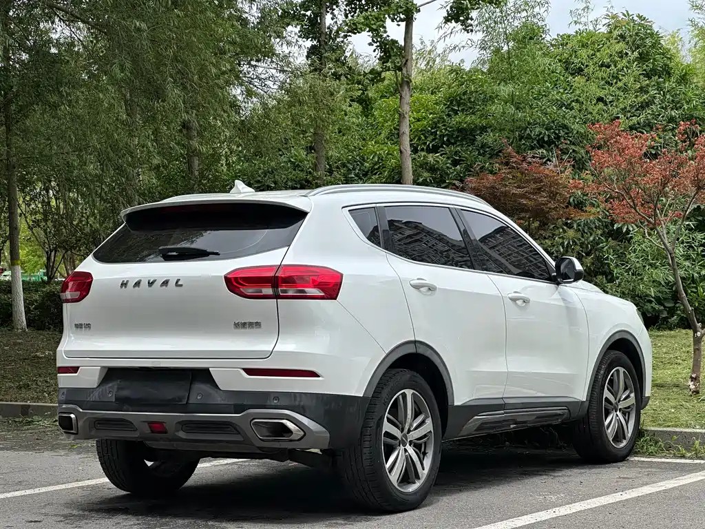 Haval H6 2019 — фото 14