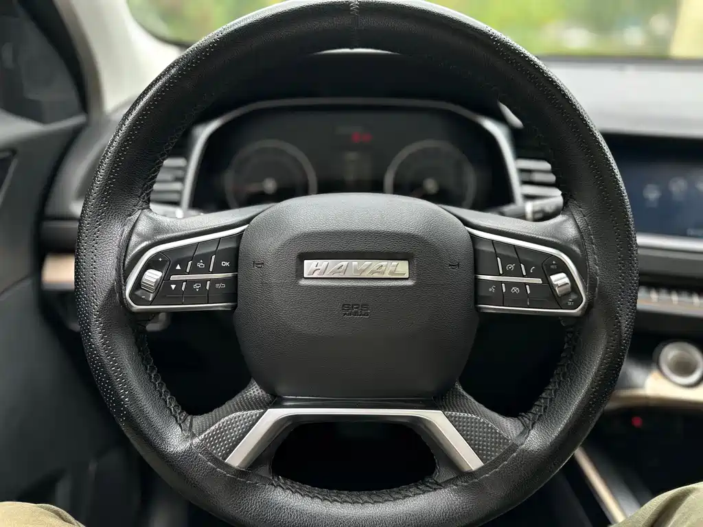 Haval H6 2019 — фото 11
