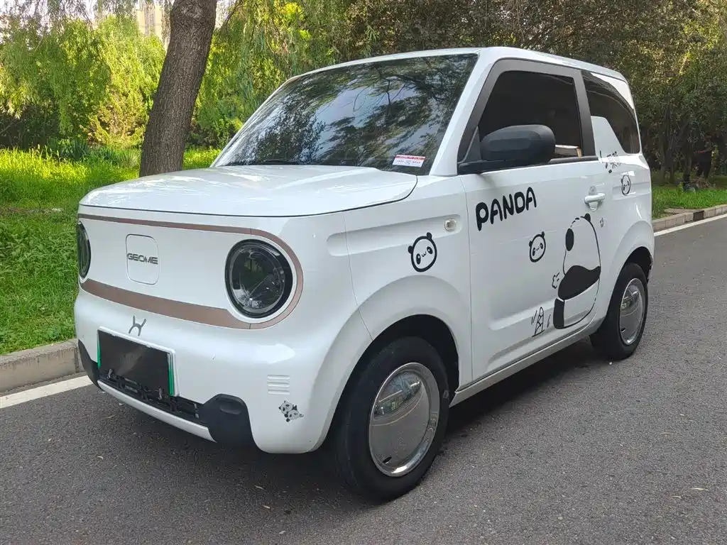Galaxy Panda 2024