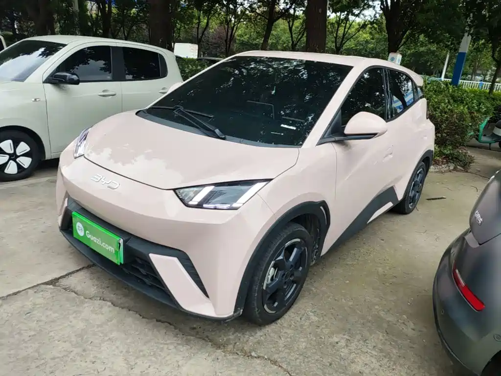 BYD Seagull 2024