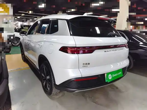 BYD Song Pro New Energy 2024