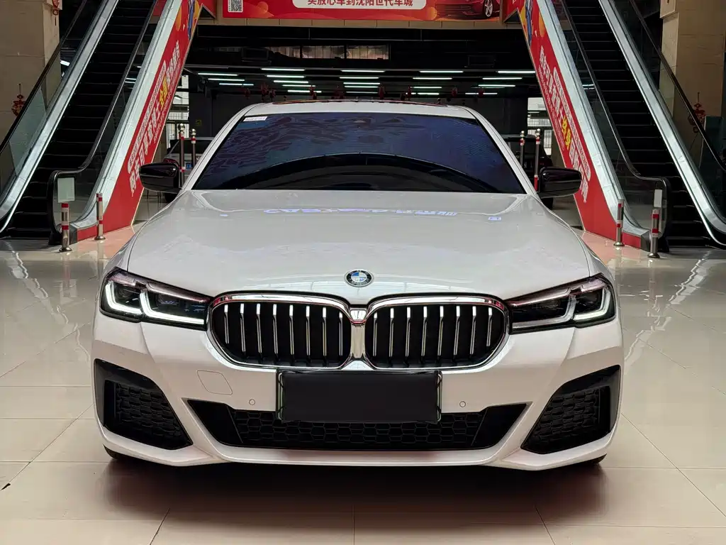 BMW 5 Series New Energy 2021 — фото 2