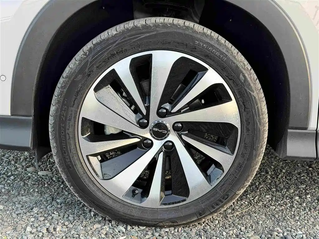 BYD Song PLUS New Energy 2024 — фото 14